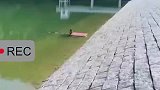 男子为钓鱼，全身泡水里只露出脑袋