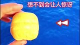 把柠檬扔下海里想不到这么多鱼抢着吃