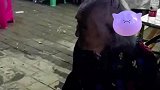 白发人送黑发人，她得多心痛啊