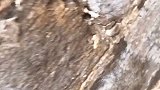 真正的老古董，都镶在墙里面了……铜钱让文物抖起来