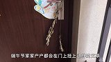 还不懂艾草的要留意，家里放一把真是个宝，一年省下不少钱，学学