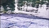 温暖不是双向的吗？