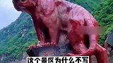 为什么没有写禁止下河游泳？