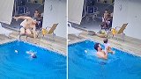 巴西：小婴儿爬进泳池溺水，大人及时发现将其救起