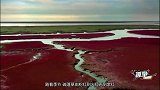 辽宁有片红海滩，美如油画，还救过一代人性命
