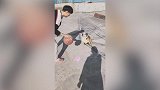 萌狗防守见过吗？想要断球不存在的！