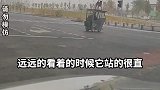 大爷骑三轮，狗子坐车顶稳如泰山