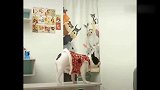 宠物滑稽搞笑视频24，尽量不要笑哦！！