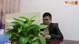 董事长去看望受伤的员工，员工妻子看到他手上的胎记，惊喜来了