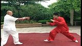 格斗-13年-夏绍龙传授：擒拿术太极螳螂拳3-专题