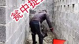 终于解决养猪人抓猪难的问题了