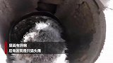 厨房管道内传出诡异声响 女子往里一看果断搬家