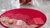 今天抓鸡蛋，以后抓坏蛋