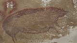 世界最古老洞穴壁画曝光：绘有野猪图像，可追溯至4.5万多年前