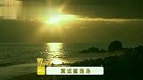 人类将象海豹放入大桶,活生生的炼油,手段极其残忍！