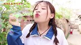 短剧：妈妈误食甜甜和来福的火鸡面，被辣的鼻子冒烟！太逗了