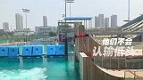 中国奥运选手在线加油会超燃预热 300名运动员等你Pick