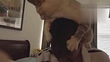 搞事的猫把自己缠住，惧怕洗澡的猫