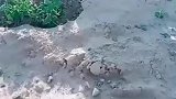 不管多么忙，田间地头抖一抖