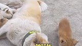 小花太过分了，连妈都不认了