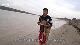 黄河浅沟全是鱼！小伙不空网，最后一网爆了，大闸蟹大鲫鱼全上岸