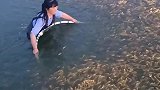 我也想做这份工作，这样捞鱼真的太爽了！