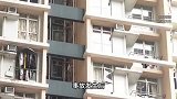 小孩被天降乌龟砸中头部抢救无效身亡，法院：饲养人全责