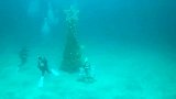旅游-日本推出海底圣诞树 潜水者可享受水中圣诞