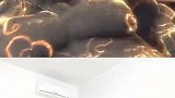 下饭吗！铁汁们，彼油特否！