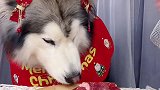 吃个橙子皮解解腻