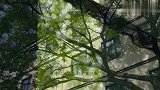 如果肖战王一博去演江添盛望，《某某》会火吗