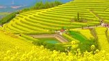 春暖花开，拥抱花海！