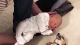 狗狗第一次遇见小主人，狗子肚皮朝上也想抱小宝宝，好可爱！