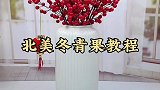 北美冬青果教程来啦