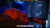 希望能上一次热门哦