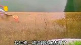 跟着大哥混，三天饿九顿!