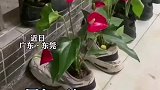 废物利用得很好，就是感觉怪怪的