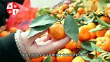 橘子太酸很难吃，几个巧方法轻松搞定，又甜又好吃了，管用