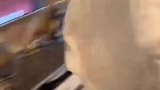 相差十岁的姐弟俩，整天总是干架