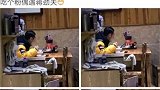 蒋劲夫起诉前女友后首现身 独自吃饭全程低头看手机