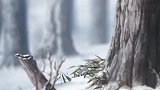 鬼灭之刃：人生有阴晴，不会一直放晴，也不会一直下雪