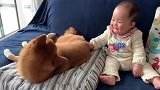 小宝宝和狗狗坐在沙发上，结果一跟狗狗对视，小宝宝的笑容萌翻！