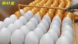 靠着这个养活了一整个村，虽然不暴利，起码能心安理得