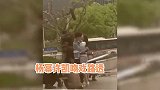 杨幂许凯新剧路透，同框热吻CP感十足，差九岁“姐弟恋”甜炸屏