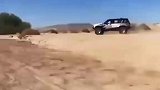 大漠越野，比鸵鸟跑得还快