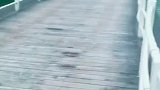 最美水上公路