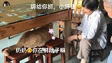 说着不爱猫，却给猫咪做了个猫抓桌腿