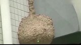 年轻人不讲武德，用激光清理马蜂窝，马蜂都不知道发生了什么事