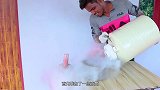 液氮能冻住湖水吗？牛人大胆挑战太惊艳，场面真是头一次见！