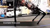 MIT的机器狗也很厉害，能跑能跳，不逊色于波士顿机器狗！